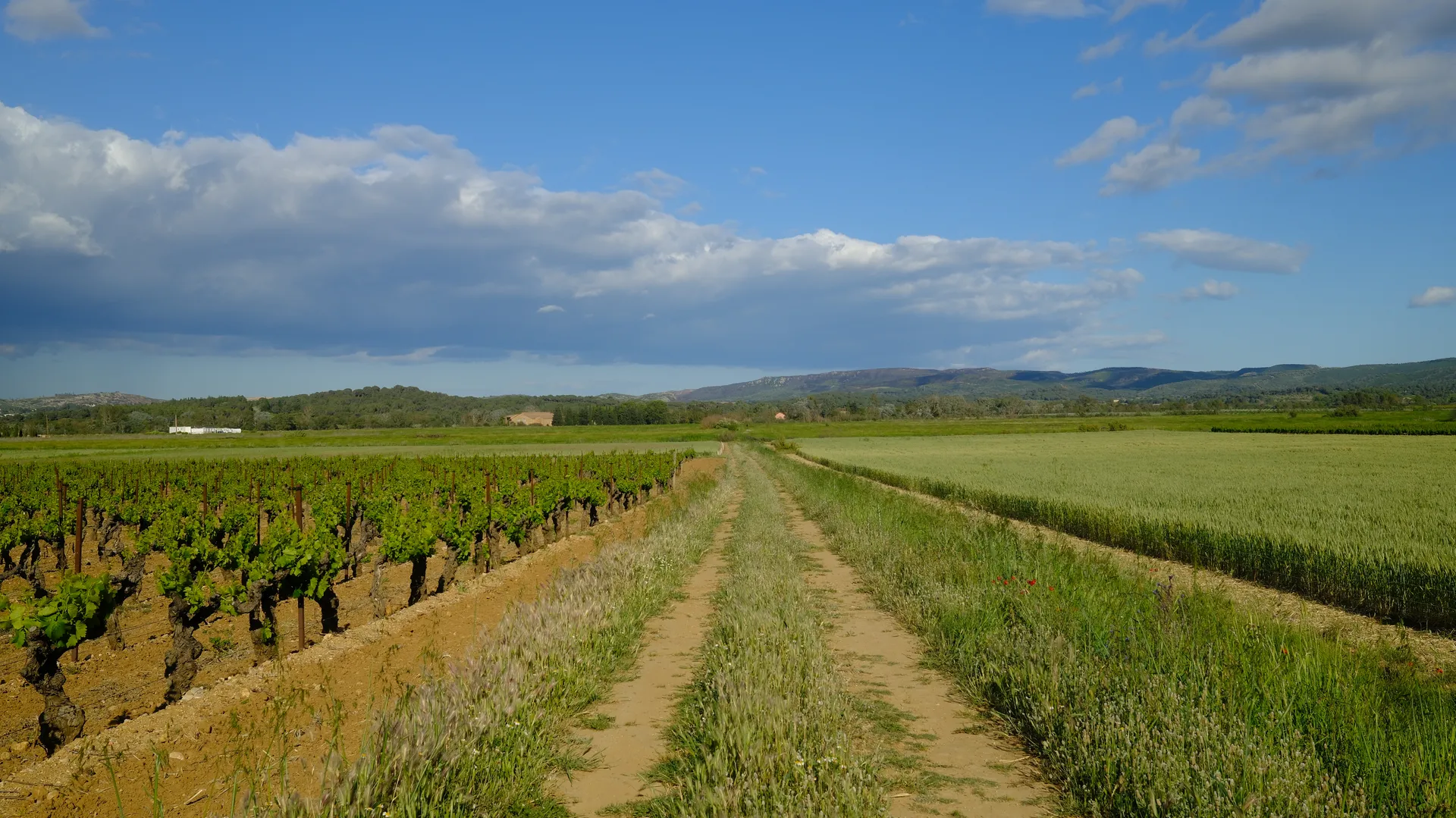 Eau calme dans un paysage naturel