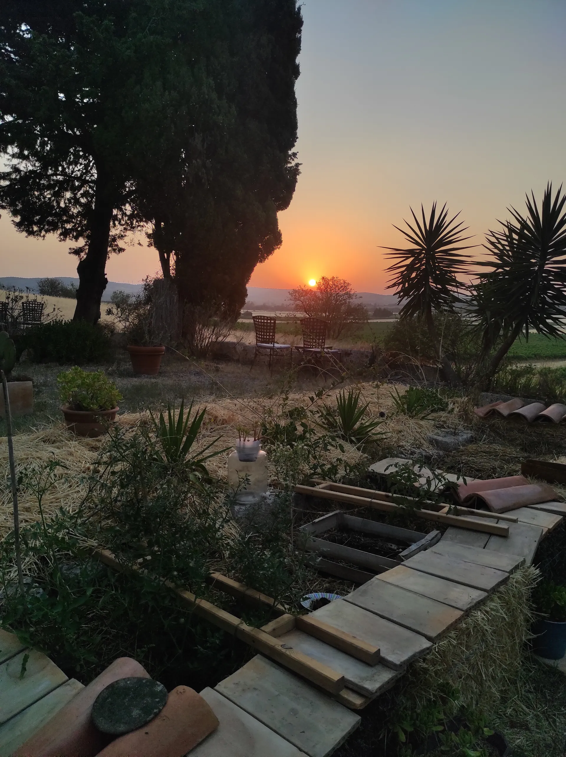 Paysage naturel ouvert