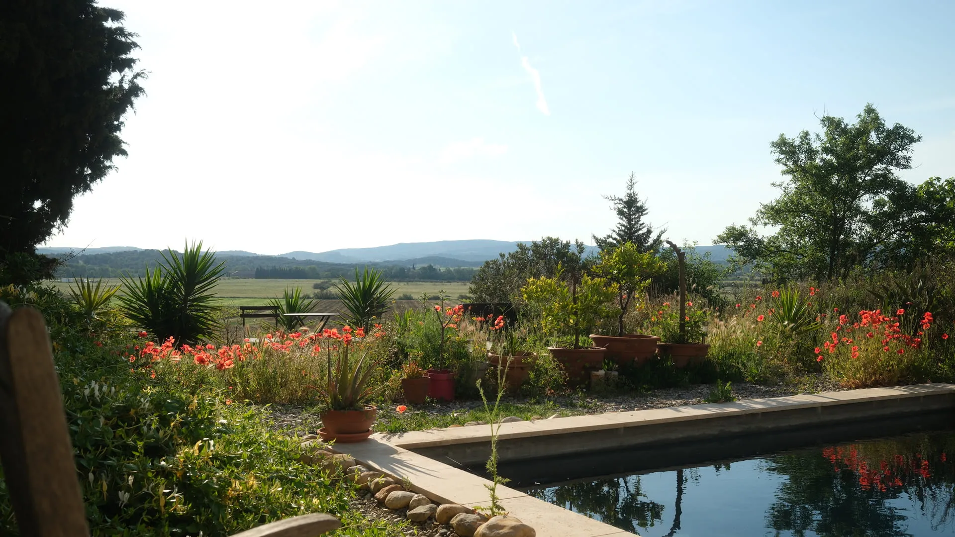 Eau calme et horizon naturel au Domaine Conscience