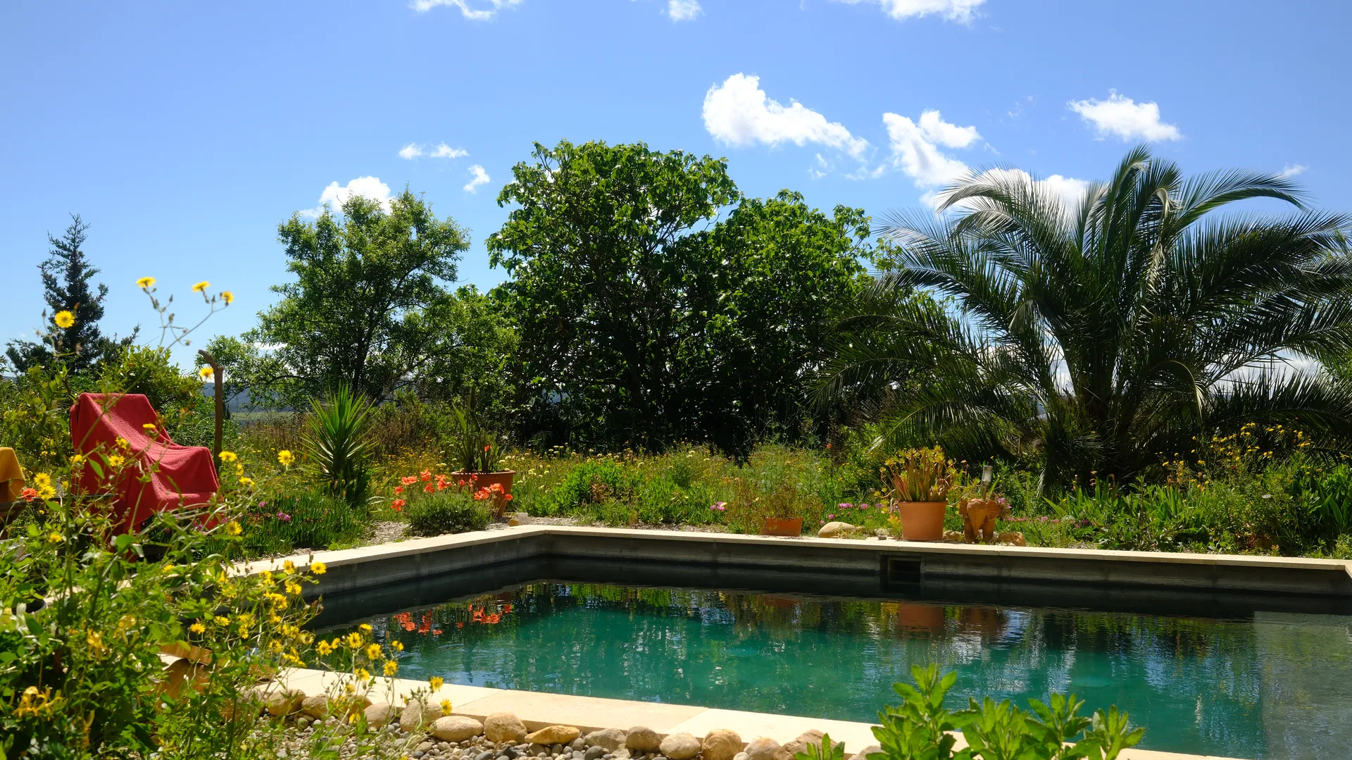 Paysage naturel ouvert du Domaine Conscience