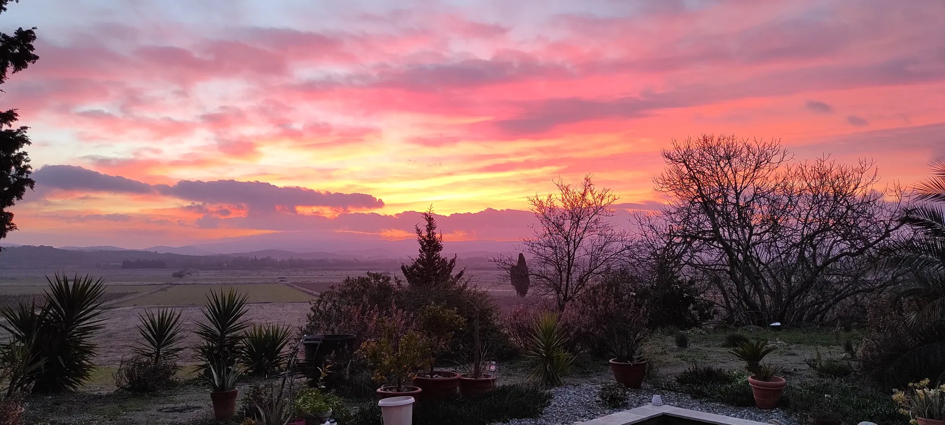Vue levée du soleil au Domaine Conscience